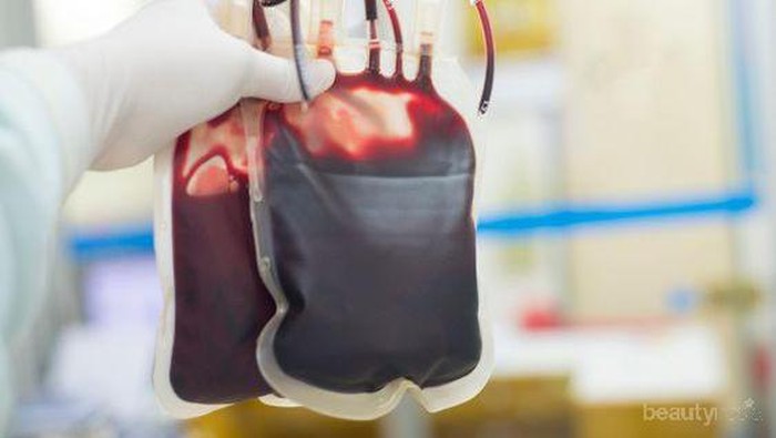 Hari PMI: Sebelum Donor Darah, Persiapan Apa yang Harus Dilakukan?