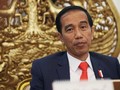 Jokowi Minum Jahe Merah 3 Kali Sehari, Harga Rempah Naik