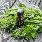 Mengenal Mugwort, Kandungan Dalam Skincare untuk Kulit Sensitif
