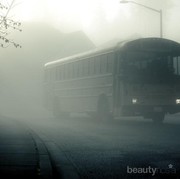 5 Fakta Tentang Cerita Misteri Bus 'Hantu' yang Sedang Viral