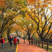 Jalan-Jalan Hemat Ke Korea dengan Mengunjungi Destinasi Gratis Berikut Ini