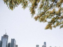 Liburan Keluarga Penuh Keseruan di Brisbane & Gold Coast Australia
