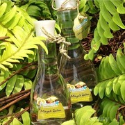 5 Rekomendasi Produk Minyak Zaitun Lokal yang Bermanfaat untuk Kulit dan Rambut