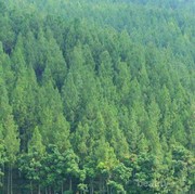 Dijamin Seru, Ini 5 Tempat Wisata yang Tepat untuk Menikmati Libur Lebaran di Bandung