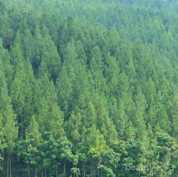 img-title Dijamin Seru, Ini 5 Tempat Wisata yang Tepat untuk Menikmati Libur Lebaran di Bandung