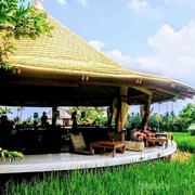 5 Kafe yang Unik dengan Pemandangan Indah di Ubud Bali, Harganya Terjangkau!