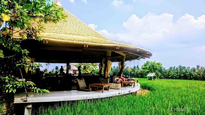5 Kafe yang Unik dengan Pemandangan Indah di Ubud Bali, Harganya Terjangkau!