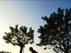 Lari Menikmati Pagi