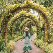 Liburan Asyik ke 7 Tempat Wisata Paling Instagramable di Singapura