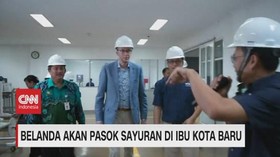 VIDEO: Belanda Akan Pasok Sayuran di Ibu Kota Baru