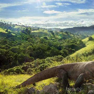 Selain Melihat Komodo, Pengalaman Seru Ini Bisa Kamu Lakukan di Pulau Komodo