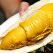 [FORUM] Alesan sebagian besar orang benci sama durian itu apa sih girls kalo boleh tau...