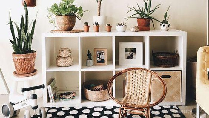 5 Tanaman Hias Sehat Pembersih dan Percantik Ruangan