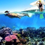Mau Snorkeling di Pulau Seribu? Ini Rekomendasi Tempatnya