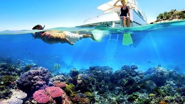 Mau Snorkeling di Pulau Seribu? Ini Rekomendasi Tempatnya