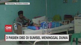 VIDEO: 3 Pasien DBD di Sumsel Meninggal Dunia