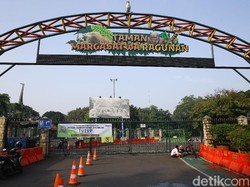 Ragunan Segera Dibuka, Ini Aturan yang Harus Diperhatikan Pengunjung