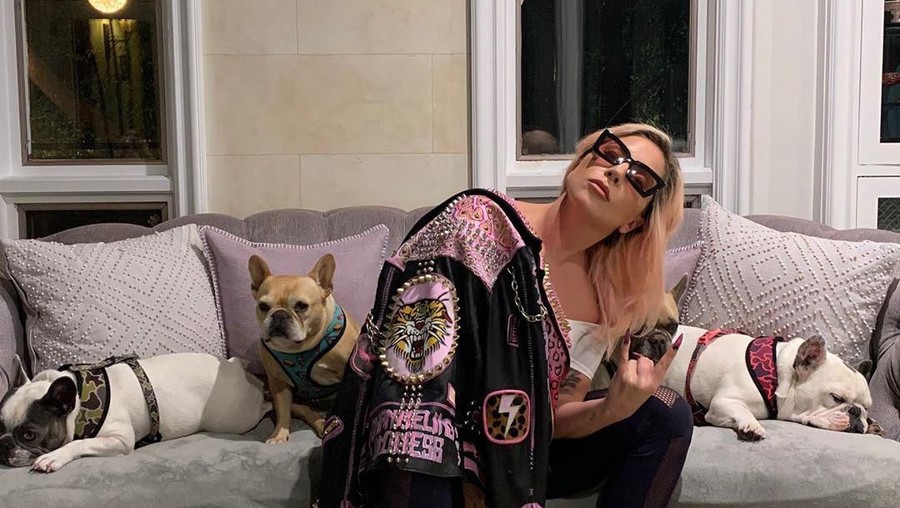 Lady Gaga terlihat membagikan momen ketika mengisolasi diri di rumah akibat dampak wabah virus Corona.