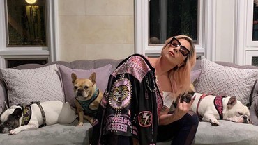 img-title Virus Corona Makin Parah, Lady Gaga Karantina Diri Bareng 3 Anjing