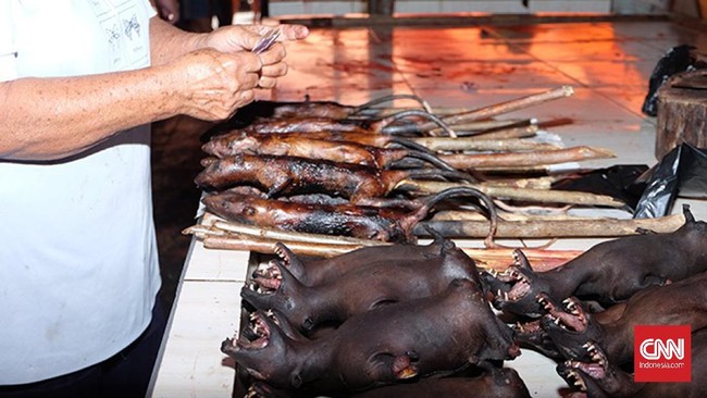 Belum ada pelarangan dari aktivitas penjualan daging kelelawar. Daging kelelawar bakar dijual Rp60 ribu per kilogram di Pasar Beriman Kota Tomohon.