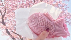 Super Gemas, Camilan Musim Semi Khas Jepang Ini Terinspirasi dari Cantiknya Bunga Sakura