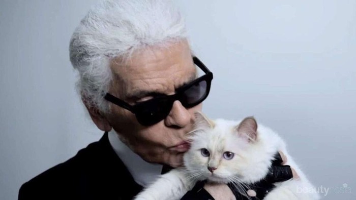 5 Fakta Unik Choupette, Kucing  Lucu Penerus Tahta Karl Lagerfeld