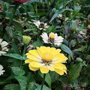 [FORUM] Rekomendasi skincare untuk kulit yang baru sembuh dari jerawat