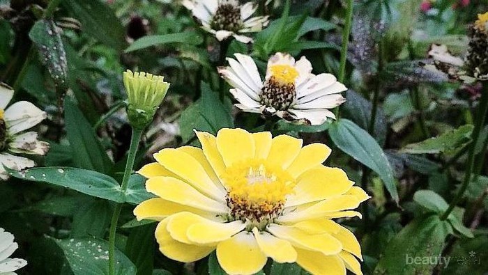 [FORUM] Rekomendasi skincare untuk kulit yang baru sembuh dari jerawat