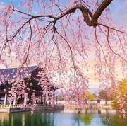 Ini Dia Tempat wisata di Korea Selatan Terindah dan Musim Terbaik untuk Mengunjunginya