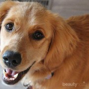 [FORUM] Ngeliat Instagram jovie jadi ngebandingin negara luar sama indonesia deh...