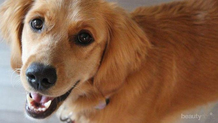 [FORUM] Ngeliat Instagram jovie jadi ngebandingin negara luar sama indonesia deh...