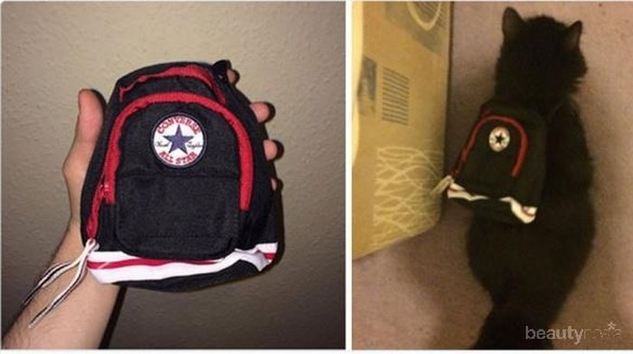 [FORUM] Waduh! Beli tas kok yang sampe malah....