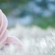 Rangkaian Perawatan Kulit dari Nameera Ini Aman dan Halal, Ladies! Kamu Wajib Coba untuk Dapatkan Kulit Wajah Sehat dan Berseri Setiap Hari