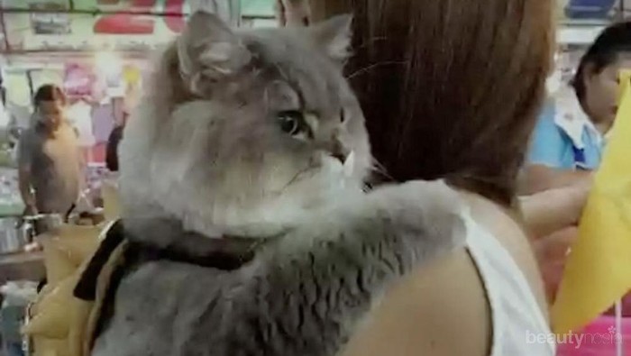 [FORUM] Pacaran/pernikahan beda usia 12 tahun, menurut kalian?