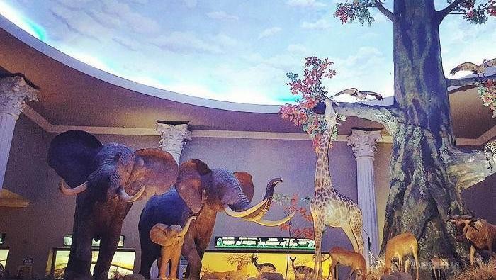 Jalan-jalan ke Kota Batu? Jangan Lupa Singgah ke 5 Wisata Malang untuk Keluarga Ini