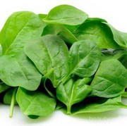 [FORUM] Udah tau kalo ada beberapa sayur yang tidak boleh dihangatkan berulang kali?