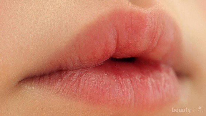 [FORUM] Lipbalm aja cukup gak yaa untuk merawat bibir?