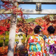 Tips Liburan Murah ke Jepang, Nggak Perlu Budget Besar, kok!