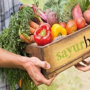 [FORUM] Ada yang udah pernah coba belanja di Sayur Box?