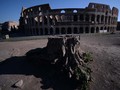 FOTO: Corona Bubarkan Pengunjung Colosseum