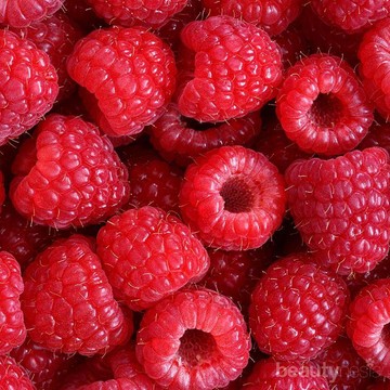 Masukkan Raspberry Pada Menu Harianmu, Manfaatnya Berlimpah untuk Tubuh