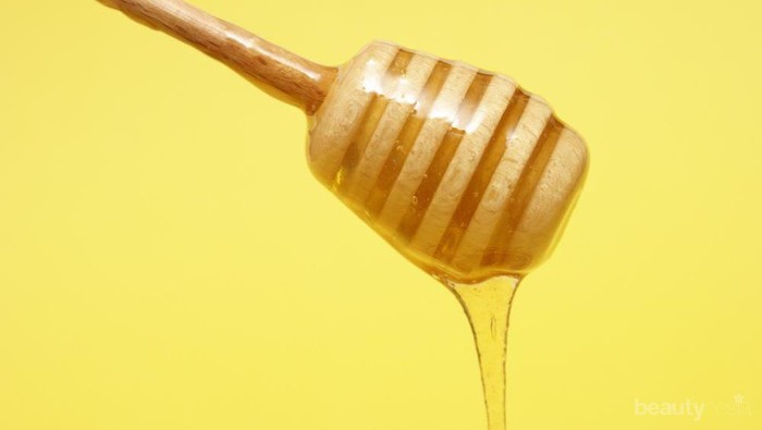 Indonesia Punya 5 Jenis Madu Asli, Manfaatnya Segudang untuk Tubuh dan Kulit
