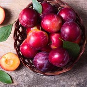 Sedang Tren! Ini Dia Sejumlah Khasiat Menakjubkan dari Buah Plum yang Perlu Kamu Tahu, Ladies!