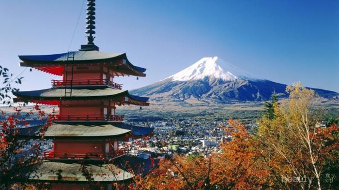 Mau Backpacker-an ke Jepang? Menginap di 6 Hotel Murah Ini aja Ladies!