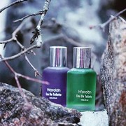 Aneka Varian Parfum Wardah Ini Aromanya Seger Banget, Ladies! Kamu Wajib Punya!