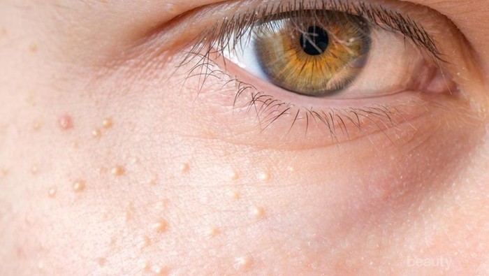 [FORUM] Apakah kalian pernah mendengar 