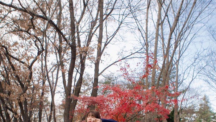 Mau Jalan-jalan ke Korea? Baca Disini, Tips untuk Dapat Tiket Pesawat Murah ke Korea!