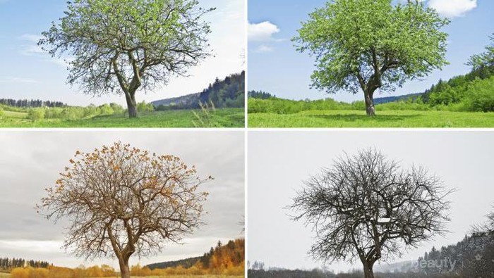 [FORUM] Musim apasih yang paling kalian pengenin di Indonesia?