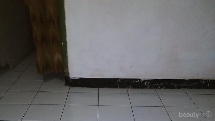 [FORUM] Suka Anjing gak sist?