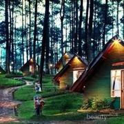 Mau Liburan Akhir Pekan? Cobain Wisata Lembang Bandung yang Instagramable Ini